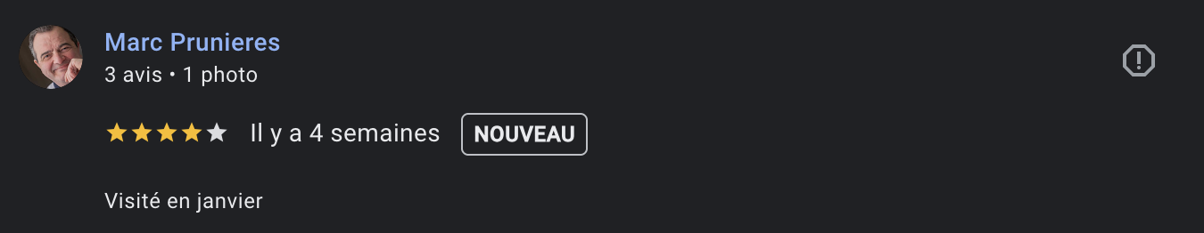 Avis Google Domaine de Janis